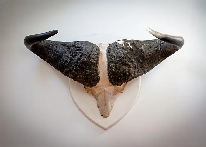 Jules Joli F2 Proximité Gare En Coeur De * Rouen